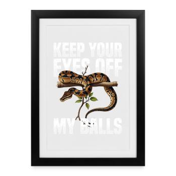 King Python Snakes Lover Terrarium Python - Framed poster (27 × 37 cm) - black - Front