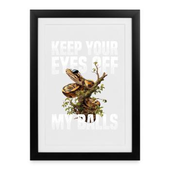 King Python Snakes Lover Terrarium Python - Framed poster (27 × 37 cm) - black - Front