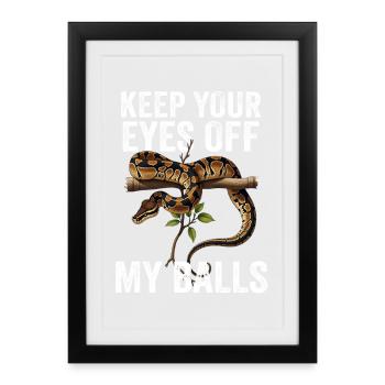 King Python Snakes Lover Terrarium Python - Framed poster (27 × 37 cm) - black - Front