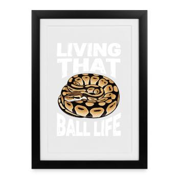 King Python Snakes Lover Terrarium Python - Framed poster (27 × 37 cm) - black - Front