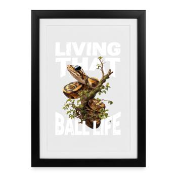 King Python Snakes Lover Terrarium Python - Framed poster (27 × 37 cm) - black - Front