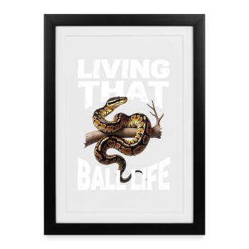 King Python Snakes Lover Terrarium Python - Framed poster (27 × 37 cm) - black - Front