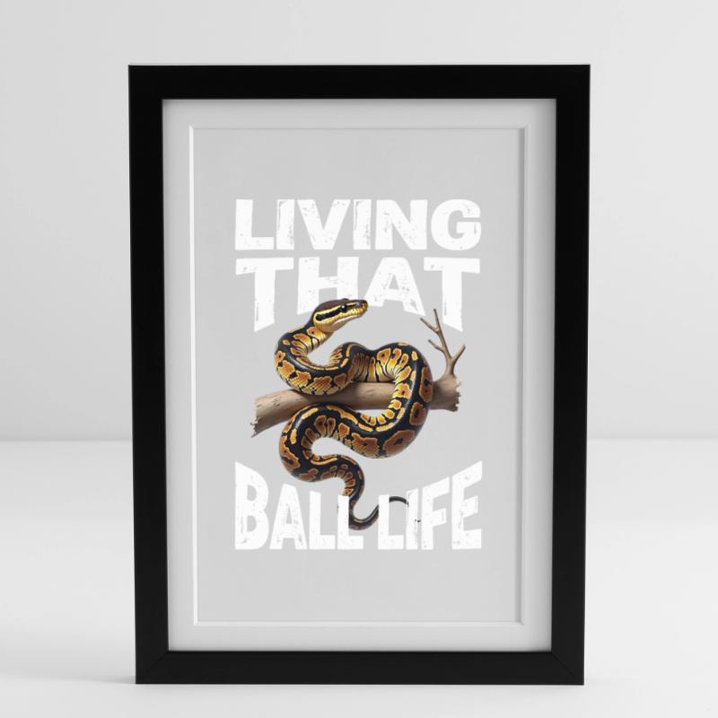 Königspython Schlangen Liebhaber Terrarium Python Gerahmtes Poster (27 × 37 cm)