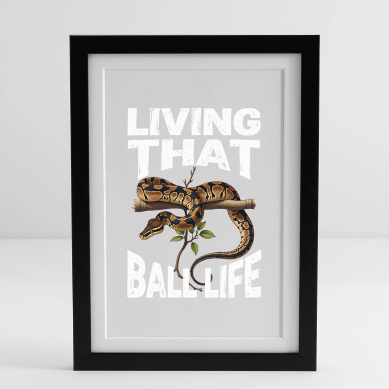 Königspython Schlangen Liebhaber Terrarium Python Gerahmtes Poster (27 × 37 cm)