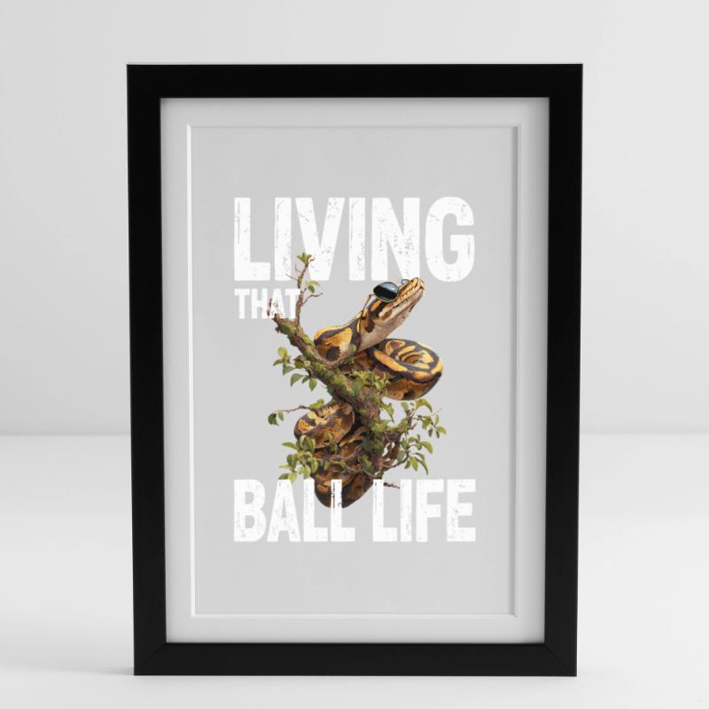 King Python Snakes Lover Terrarium Python Framed poster (27 × 37 cm)