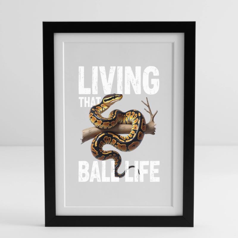 Python roi Serpents Amateurs de terrarium Python Affiche encadrée (27 × 37 cm)