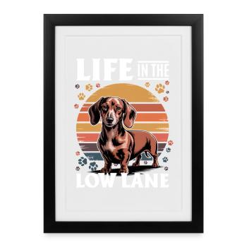 Funny Dog Breed Dachshund - Framed poster (27 × 37 cm) - black - Front