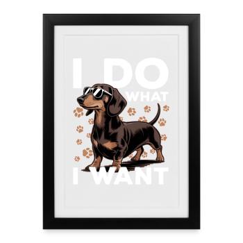 Funny Dog Breed Dachshund - Framed poster (27 × 37 cm) - black - Front