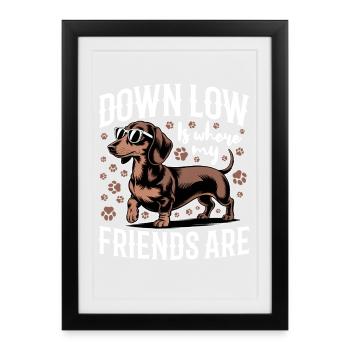 Teckel de race de chien drôle - Affiche encadrée (27 × 37 cm) - noir - Devant