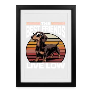 Funny Dog Breed Dachshund - Framed poster (27 × 37 cm) - black - Front