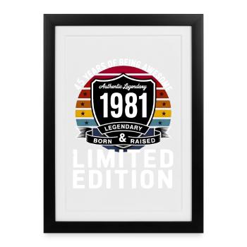 Vintage 1981 45th Birthday Gift Men Women 45 - Affiche encadrée (27 × 37 cm) - noir - Devant