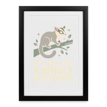 Maman Sugar Glider Amante des animaux exotiques - Affiche encadrée (27 × 37 cm) - noir - Devant