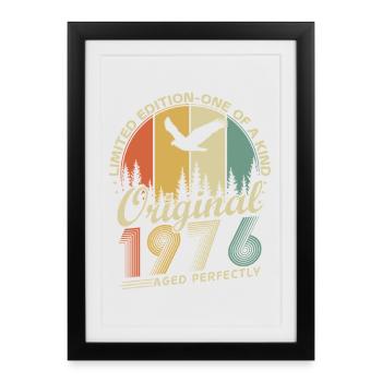 Vintage 1976 Vintage Cadeau d’anniversaire rétro - Affiche encadrée (27 × 37 cm) - noir - Devant