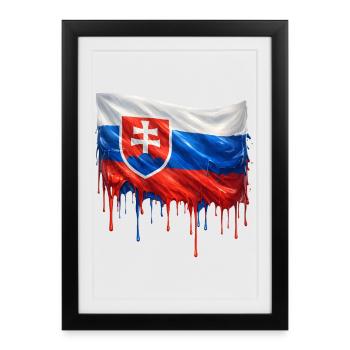 Drapeau Slovaquie Éclaboussures de couleur - Affiche encadrée (27 × 37 cm) - noir - Devant