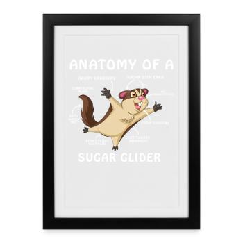 Sugar Glider Anatomy Shirt - Framed poster (27 × 37 cm) - black - Front