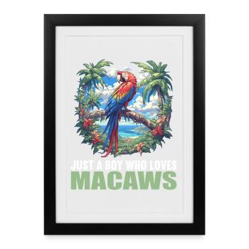 Macaw's Era - Framed poster (27 × 37 cm) - black - Front
