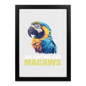 Macaw's Era - Framed poster (27 × 37 cm) - black - Front