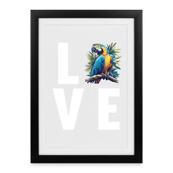 Macaw's Era - Framed poster (27 × 37 cm) - black - Front