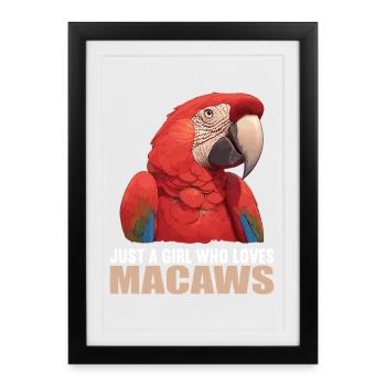 Macaw's Era - Framed poster (27 × 37 cm) - black - Front
