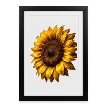 Graphismes de tournesols jaunes Fleurs de tournesol - Affiche encadrée (27 × 37 cm) - noir - Devant