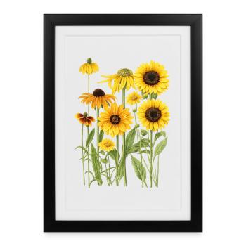 Graphismes de tournesols jaunes Fleurs de tournesol - Affiche encadrée (27 × 37 cm) - noir - Devant