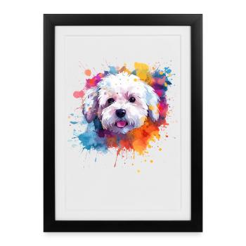 Splash Art Bichon Fris Dog Coloré - Affiche encadrée (27 × 37 cm) - noir - Devant