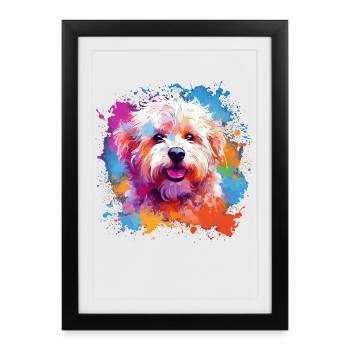 Colorful Dog Splash Art Bichon Fris - Framed poster (27 × 37 cm) - black - Front