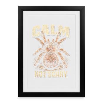 Tarentule Calme Pas Effrayante - Affiche encadrée (27 × 37 cm) - noir - Devant