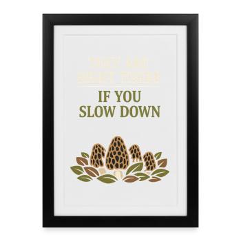 Morel mushroom hunters Wild morel mushrooms on - Framed poster (27 × 37 cm) - black - Front