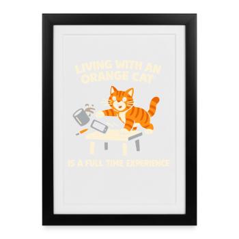 Chat Orange Chaos Drôle de Mème Chat Orange Tigré - Affiche encadrée (27 × 37 cm) - noir - Devant
