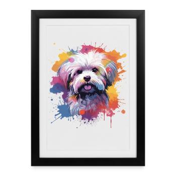 Maltese Dog Splash Art Colorful - Framed poster (27 × 37 cm) - black - Front