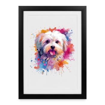Colorful Maltese Dog Splash Art - Framed poster (27 × 37 cm) - black - Front