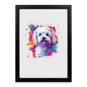 Maltese Colorful Dog Splash Art - Framed poster (27 × 37 cm) - black - Front