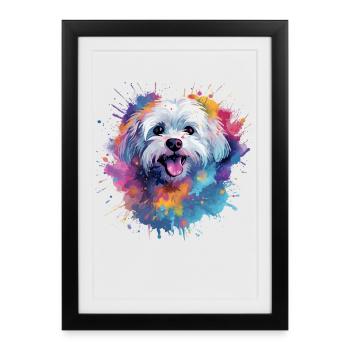 Colorful Maltese Splash Art Dog - Framed poster (27 × 37 cm) - black - Front