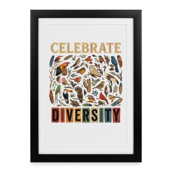Diversité des oiseaux Diversité de la nature Diversité des oiseaux Cadeau - Affiche encadrée (27 × 37 cm) - noir - Devant