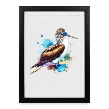 Blue-footed boobies motif - Framed poster (27 × 37 cm) - black - Front