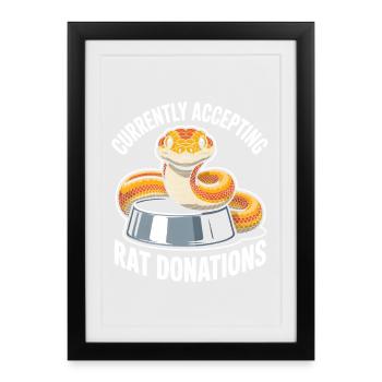 Rat donations wanted | King Python Humor - Framed poster (27 × 37 cm) - black - Front