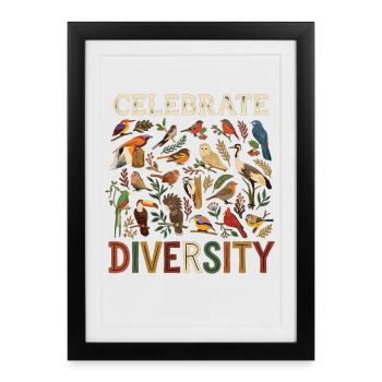 Célébrez la diversité Oiseaux Nature Animal - Affiche encadrée (27 × 37 cm) - noir - Devant