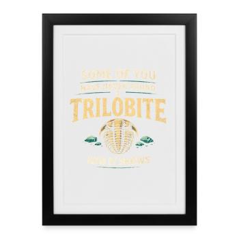 Never found trilobite? | Fossil humor - Framed poster (27 × 37 cm) - black - Front