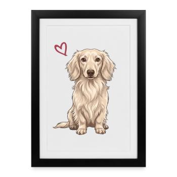 Teckel blanc, teckel blanc anglais - Affiche encadrée (27 × 37 cm) - noir - Devant