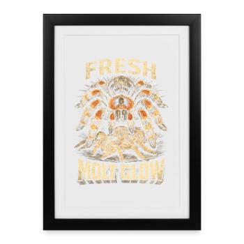Tarentule Fresh Mud - Affiche encadrée (27 × 37 cm) - noir - Devant
