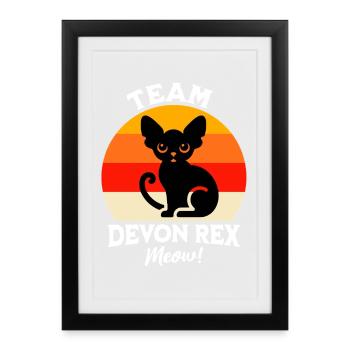 Team Devon Rex - Framed poster (27 × 37 cm) - black - Front