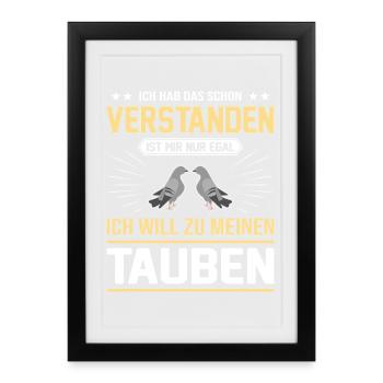 Taube Taubenzüchter Brieftaubensport Taubenverein - Gerahmtes Poster (27 × 37 cm) - Schwarz - Vorne