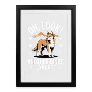 Dingo Animal Dog Sauvage Australien Design - Affiche encadrée (27 × 37 cm) - noir - Devant