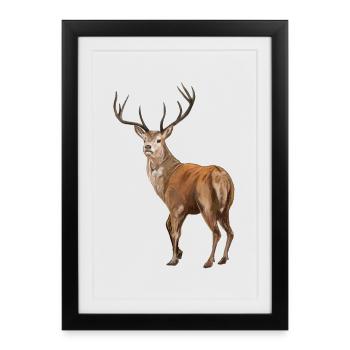 Weisswedelhirsch White-Tailed Deer - Framed poster (27 × 37 cm) - black - Front