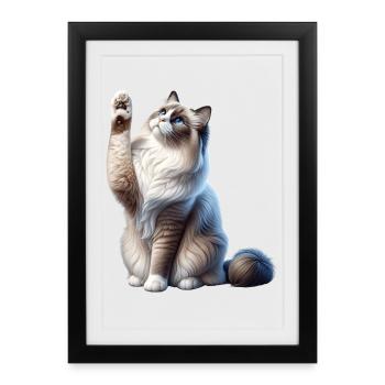 Ragdoll Katze Chatte Ragdoll - Affiche encadrée (27 × 37 cm) - noir - Devant