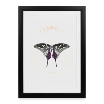Drapeau de la fierté LGBT Luna Moth asexuel - Affiche encadrée (27 × 37 cm) - noir - Devant