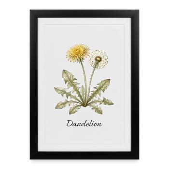 Pissenlit doré – Pissenlit vintage - Affiche encadrée (27 × 37 cm) - noir - Devant