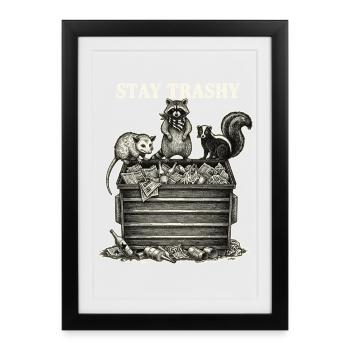 Stay Trashy Waschbär Opossum Stinktier - Gerahmtes Poster (27 × 37 cm) - Schwarz - Vorne