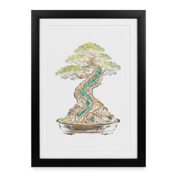 Bonsai tree - Framed poster (27 × 37 cm) - black - Front
